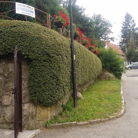 Noclegi U Andrzeja Duszniki Zdrój Kültér fotó